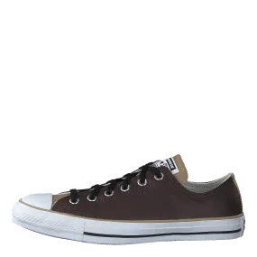 Chuck Taylor All Star Dark Root/nomad Khaki/white